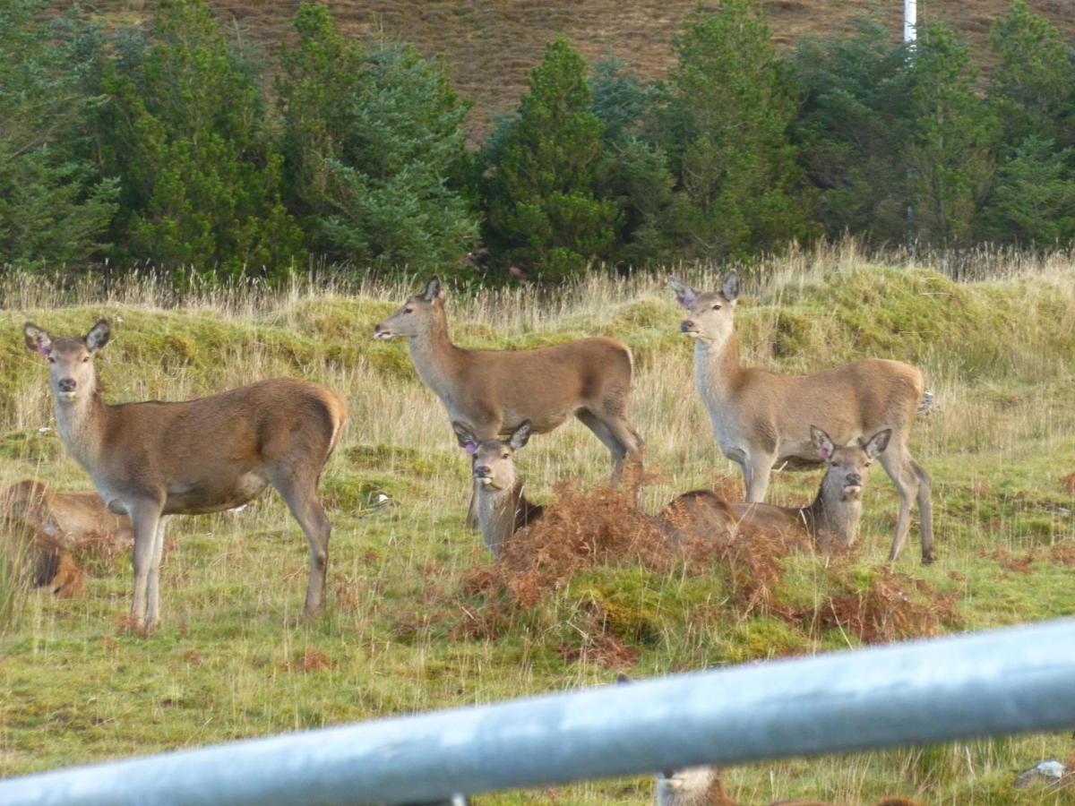 פורטרי Stags View Holiday Home מראה חיצוני תמונה